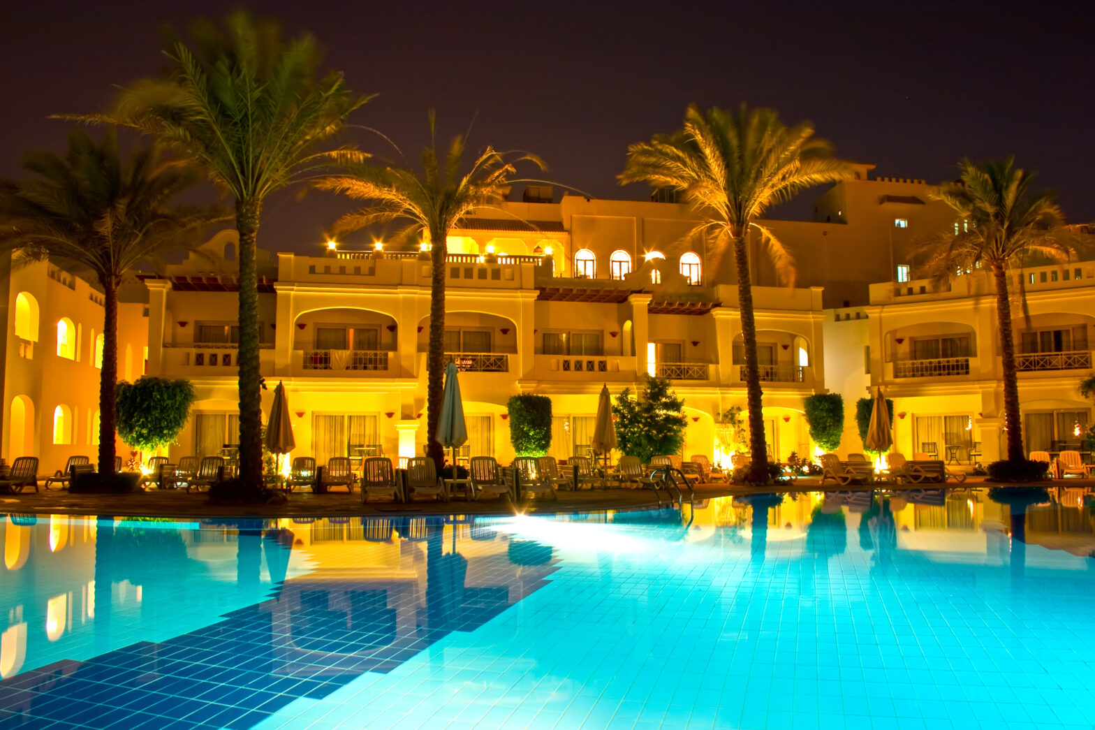 A pool with palm trees and lights at night.